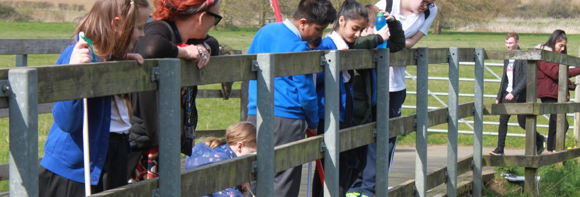 environmental education